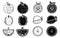 Simple Set of Fruits Related Vector Line Icons,Fruit icon collection - vector illustration