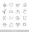 Simple Set of Organs Related Vector Line Icons