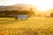 Simple shack on rice field with back-lighting