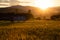 Simple shack on rice field with back-lighting