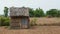 Simple shed on dry rice field