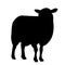 Simple sheep silhouette for education