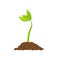 Simple sprouting seed drawing. Sprout, plant, tree growing agriculture icons. Vector illustration