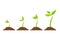 Simple sprouting seed drawing. Sprout, plant, tree growing agriculture icons. Vector illustration