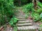 simple stairs in the garden near the forest