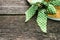 Simple straw hat with green bow tie on aged weathered pine wood boards