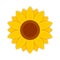 Simple sunflower icon