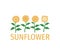 simple sunflower plant line up vector illustration design in white background