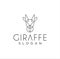 Simple Unique Ossicones Logo Line Art Design , Okapi, Giraffidae And Abstract Giraffe Logo Linear Design Template