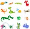 Simple vector animals cartoon - amphibians, reptiles and other