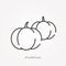 Simple vector illustration with ability to change. Line icon pumpkin