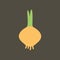 Simple vector illustration with ability to change. Silhouette icon onion