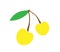 Simple vector illustration yellow cherries, logo or sticker, for children drawing of fruit, yellow berry