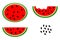 Simple vector set 4 watermelon, water melon and seed