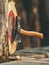 A simple, vibrant image of an axe midflight towards a wooden target, symbolizing skill and focus