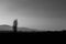 Simple view of a tree in the country, with some more distant trees, hills and mist