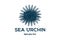 Simple Vintage Ocean Sea Urchin Logo Design Icon Illustration Image