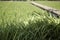 Simple walkway in summer rice field resort