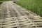 Simple walkway in summer rice field resort