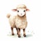 Simple Watercolor Illustration Of Cute Sheep - Detailed Character Illustrations