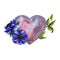 Simple watercolor pink lilac hear with blue anemone for Happy Valentines Day card or t-shirt design. Romance