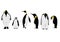 Simple white black penguin character.Vector illustration character doodle cartoon