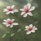 Simple white flowers on a blurred background, ai Generated, generative AI, CGI graphics