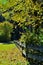 Simple wooden fence on allotment with leaf canopy in the back light