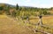 Simple Wooden Fence Traverses the Fall Landscape of Montana