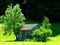 Simple wooden hut with tiled roof between 2 trees