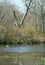 Simple woods landscape portrait with two ducks swimming in river