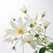 Simplified White Flowers On White Background: Uhd Nature-inspired Imagery