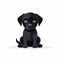 Simplistic Black Puppy Sitting: Meticulously Detailed Minimalist Art
