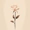 Simplistic Elegance: A Romantic Rose Illustration On Beige Background