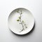Simplistic Plate Photography With Twisted Branches: A Blend Of Japanese Minimalism And Environmental Awareness