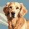 Simplistic Vector Art: Golden Retriever Painting By Oleg Shuplyak