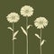 Simplistic Vector Art: Three Flowers On Green Background