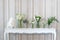 Simply composition of different white flower in vase on white vintage table