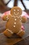 Simply Decorated Gingerbread Man Leans Against Red Cake Stand