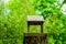 A simply wooden open bird feeder in a city park, placed on a stump on a blurry background on a summer day in the morning