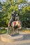 Simpson & His Donkey Statue, Canberra, Australia