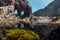 Simultaneous view below and over the water in a tidal pool