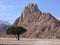 Sinai landscape