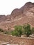 Sinai Monastery St. Catherine