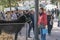 Sineu, Majorca, street market in which cattle and various animals are sold, tender image of a woman looking at a donkey