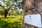 Singapore-05 MAY 2018:singapore heritage tree sign board on rain tree