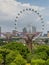 Singapore architecture - Big ferris wheel in the modern city skyline