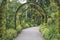 Singapore Botanic Gardens path