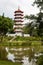 Singapore Chinese Gardens Pagoda