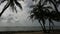 Singapore East Coast Beach with Palm and Coconut Trees Swaying in the Wind and Moving Clouds Time Lapse 1080p
